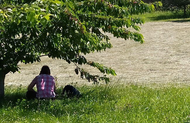 solitude